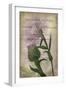 Favorite Flowers II-John Butler-Framed Art Print