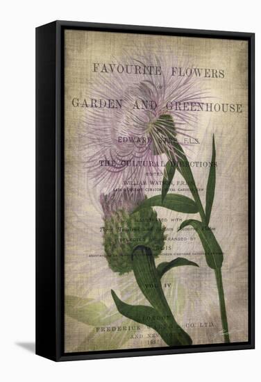 Favorite Flowers II-John Butler-Framed Stretched Canvas
