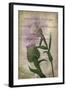 Favorite Flowers II-John Butler-Framed Art Print