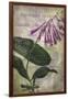 Favorite Flowers III-John Butler-Framed Art Print