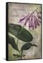 Favorite Flowers III-John Butler-Framed Stretched Canvas