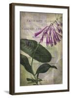 Favorite Flowers III-John Butler-Framed Art Print