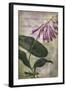 Favorite Flowers III-John Butler-Framed Art Print