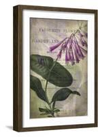 Favorite Flowers III-John Butler-Framed Art Print