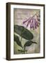 Favorite Flowers III-John Butler-Framed Art Print