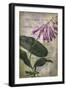 Favorite Flowers III-John Butler-Framed Art Print