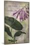 Favorite Flowers III-John Butler-Mounted Art Print