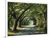 Favorite Path-Bruce Nawrocke-Framed Art Print