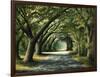 Favorite Path-Bruce Nawrocke-Framed Art Print