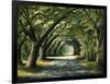 Favorite Path-Bruce Nawrocke-Framed Art Print