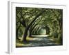 Favorite Path-Bruce Nawrocke-Framed Art Print