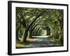 Favorite Path-Bruce Nawrocke-Framed Art Print