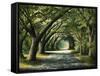 Favorite Path-Bruce Nawrocke-Framed Stretched Canvas