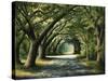 Favorite Path-Bruce Nawrocke-Stretched Canvas