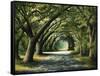 Favorite Path-Bruce Nawrocke-Framed Stretched Canvas