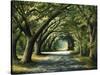 Favorite Path-Bruce Nawrocke-Stretched Canvas