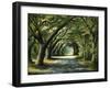 Favorite Path-Bruce Nawrocke-Framed Art Print