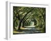 Favorite Path-Bruce Nawrocke-Framed Art Print