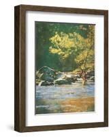 Favorite Pool-unknown Dudash-Framed Art Print