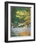 Favorite Pool-unknown Dudash-Framed Art Print