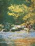 Just the Print
