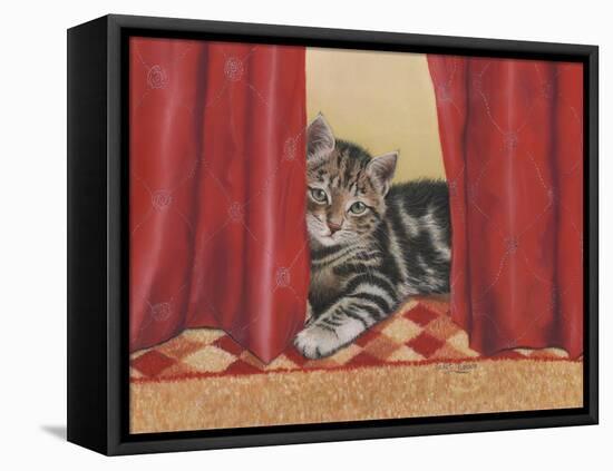 Favourite Hiding Place-Janet Pidoux-Framed Stretched Canvas
