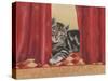 Favourite Hiding Place-Janet Pidoux-Stretched Canvas