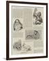 Favourites at the Zoo-null-Framed Giclee Print