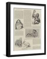 Favourites at the Zoo-null-Framed Giclee Print