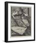 Favourites-Leo Malempre-Framed Giclee Print