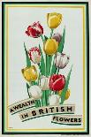 A Wealth in British Flowers, from the Series 'British Bulbs for Home Gardens'-Fawkes-Giclee Print