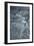Fawn 3-Gordon Semmens-Framed Photographic Print