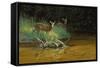 Fawn Brook-Michael Budden-Framed Stretched Canvas