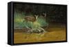 Fawn Brook-Michael Budden-Framed Stretched Canvas