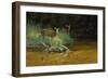 Fawn Brook-Michael Budden-Framed Giclee Print