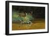 Fawn Brook-Michael Budden-Framed Giclee Print