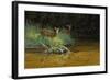 Fawn Brook-Michael Budden-Framed Giclee Print