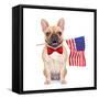 Fawn French Bulldog-Javier Brosch-Framed Stretched Canvas