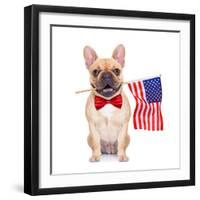 Fawn French Bulldog-Javier Brosch-Framed Photographic Print