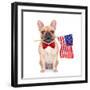 Fawn French Bulldog-Javier Brosch-Framed Photographic Print