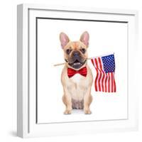 Fawn French Bulldog-Javier Brosch-Framed Photographic Print