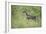 Fawn in October-Jai Johnson-Framed Giclee Print