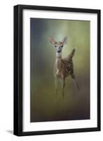 Fawn in the Forest-Jai Johnson-Framed Giclee Print