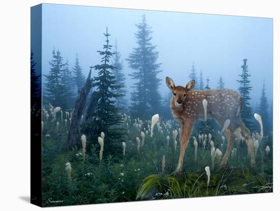 Fawn Memories-Gordon Semmens-Stretched Canvas