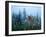 Fawn Memories-Gordon Semmens-Framed Giclee Print