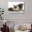 Fawn Pug, Burmese-Cross Cat and Shaggy Guinea Pig-Mark Taylor-Stretched Canvas displayed on a wall