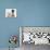 Fawn Pug Puppy, 8 Weeks, and Birman-Cross Kitten-Mark Taylor-Stretched Canvas displayed on a wall