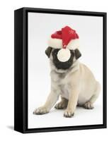 Fawn Pug Puppy, 8 Weeks, Wearing a Father Christmas Hat-Mark Taylor-Framed Stretched Canvas