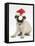 Fawn Pug Puppy, 8 Weeks, Wearing a Father Christmas Hat-Mark Taylor-Framed Stretched Canvas