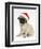 Fawn Pug Puppy, 8 Weeks, Wearing a Father Christmas Hat-Mark Taylor-Framed Premium Photographic Print